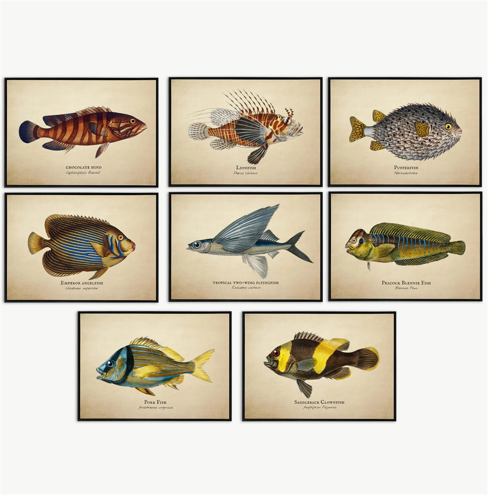 Marine Life Aquariums - Quadros Vintage de Peixes Tropicais, Água-Viva