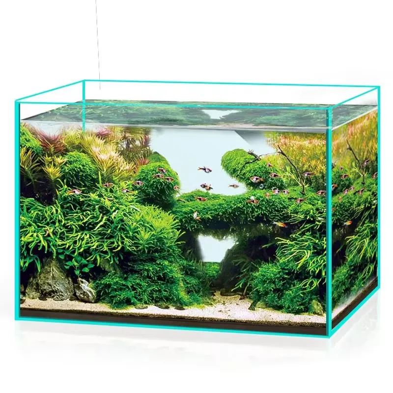 Marine Aquarium In Clearwater - Aquário de Vidro Ultra Claro para