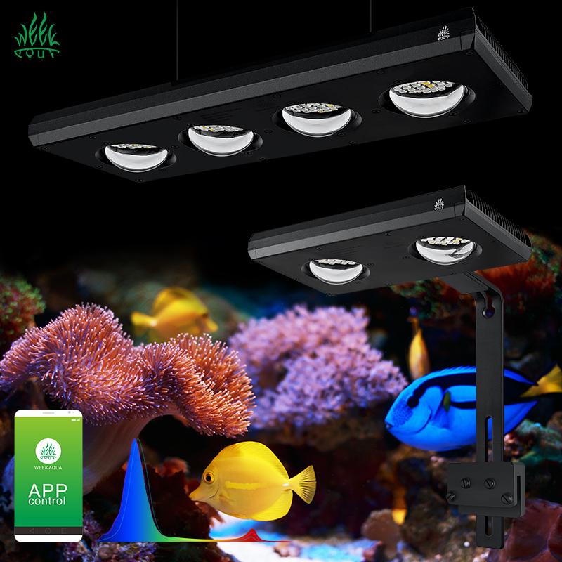 Marine Aquarium App - Zxy venda quente weekacu z250 z400sea