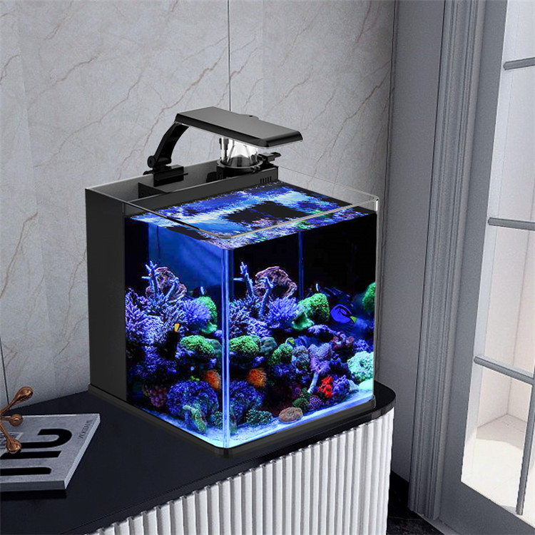 Marine Aquarium In Clearwater - Mini vidro ultra transparente para aquário