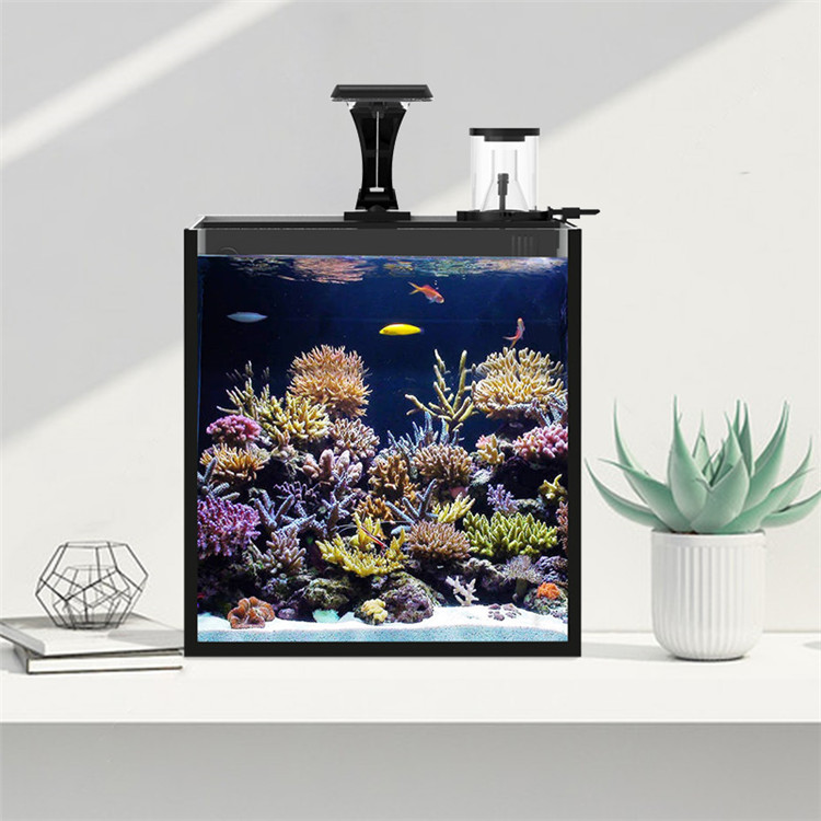 skynuo Mini Aquário Marinho de - Marine Aquarium In Clearwater avaliação e preço