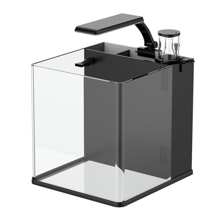 skynuo Mini Aquário Marinho de - Marine Aquarium In Clearwater avaliação e preço