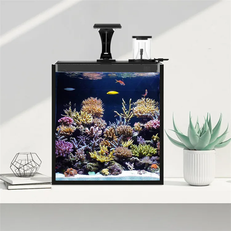 Mais recente modelo de vidro t - Marine Aquarium In Clearwater avaliação e preço