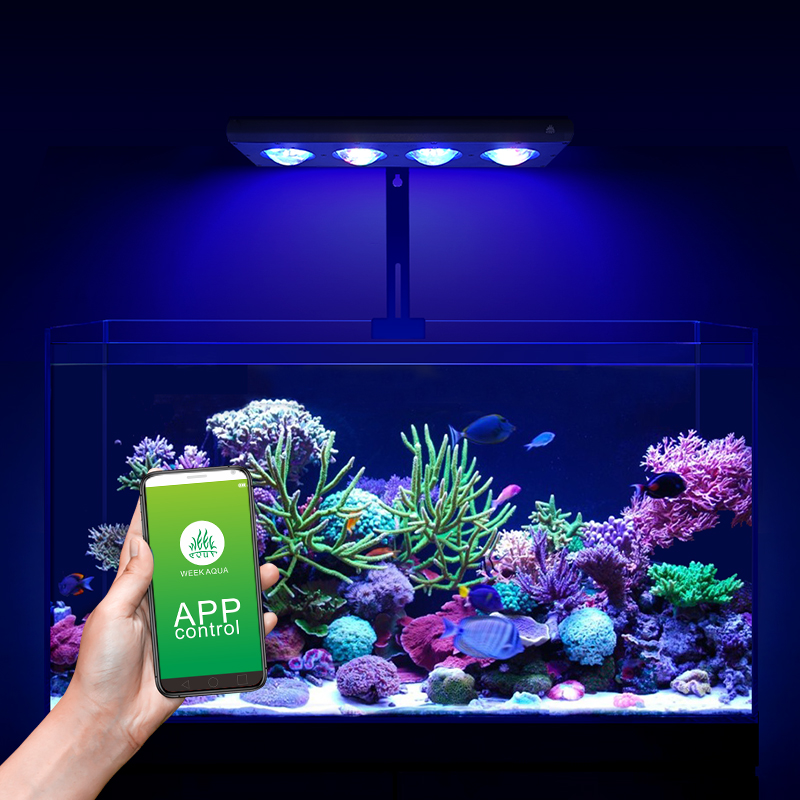 Zxy venda quente weekacu z250  - Marine Aquarium App avaliação e preço
