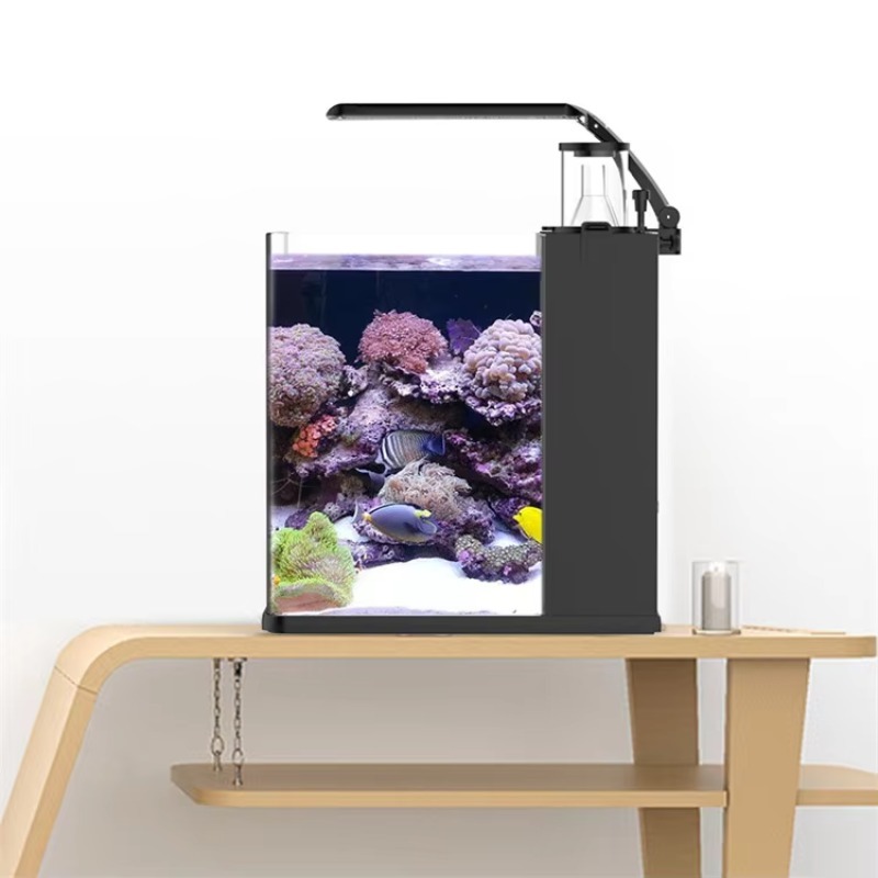 Mini tanque de peixes de aquár - Marine Aquarium In Clearwater avaliação e preço