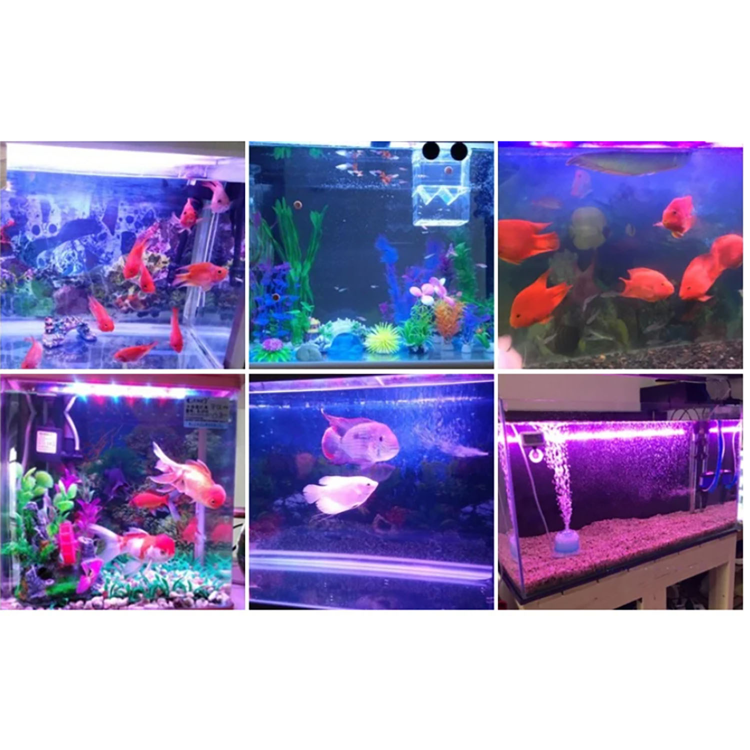 Iluminação LED para aquário ma - Aquarium Marine Color avaliação e preço