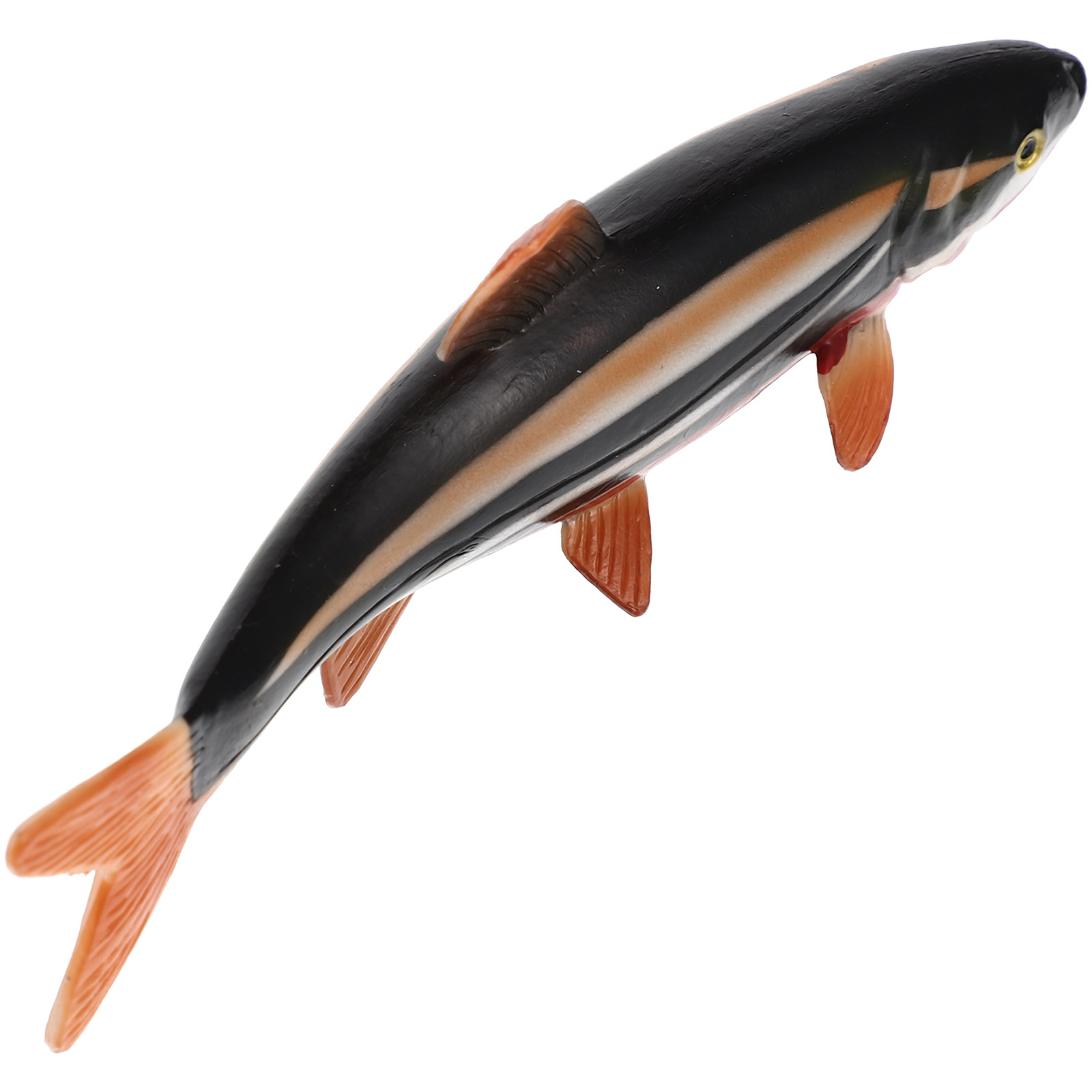 Simulação de Animal Marinho em - Aquarium Marine Color avaliação e preço