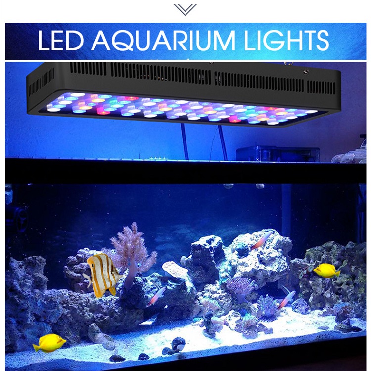 BT Controle Sem Fio DIY Espect - Marine Aquarium Used avaliação e preço