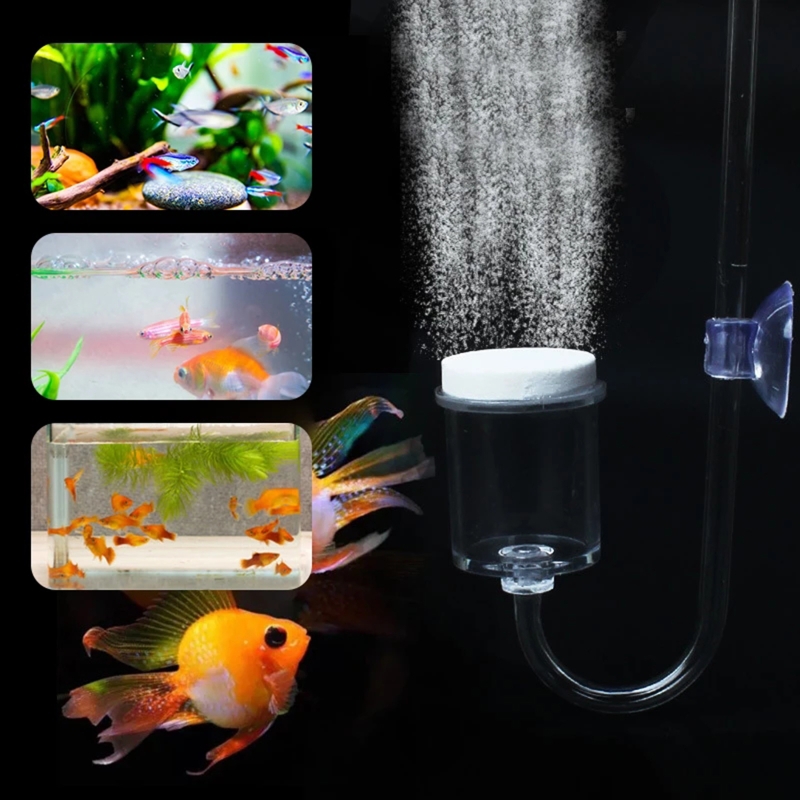 CO2 Difusor para Aquário, DIY  - Marine Aquarium Kit avaliação e preço